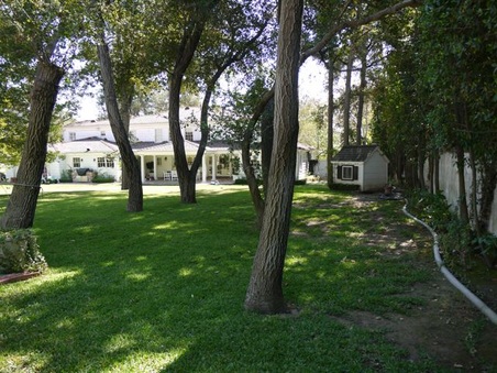 Enlarge photo 41