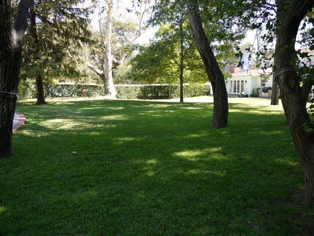 Enlarge photo 44