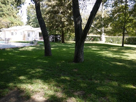 Enlarge photo 43