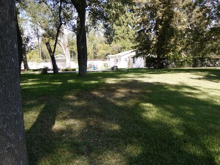 Enlarge photo 47