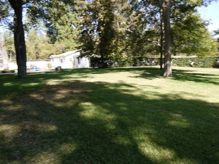 Enlarge photo 48