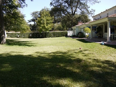 Enlarge photo 49