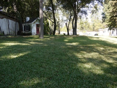 Enlarge photo 51
