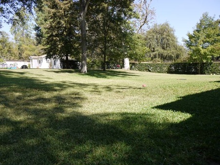 Enlarge photo 52