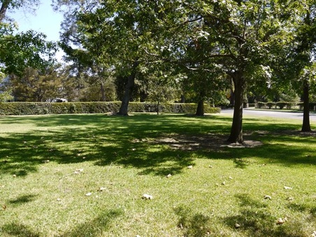 Enlarge photo 54