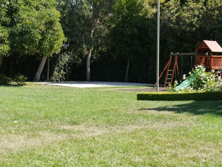 Enlarge photo 18