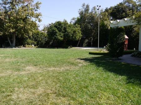 Enlarge photo 19