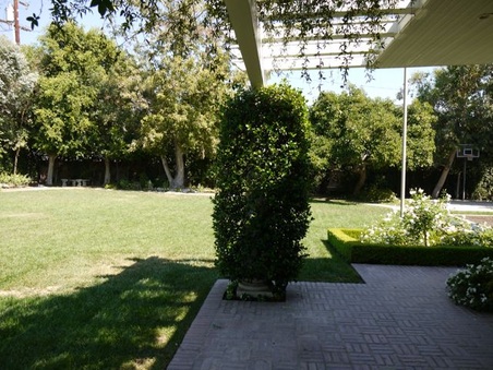 Enlarge photo 21