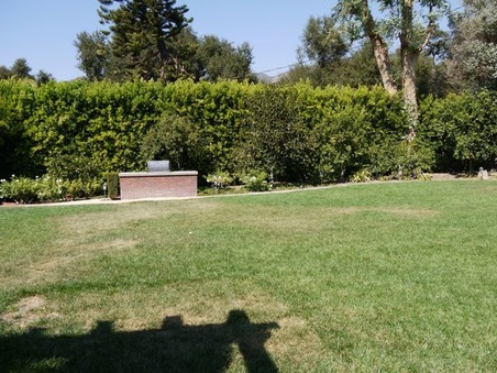 Enlarge photo 22