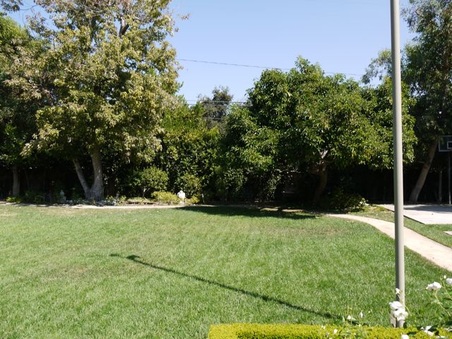 Enlarge photo 24