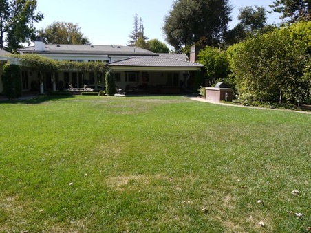 Enlarge photo 28