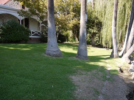 Enlarge photo 7