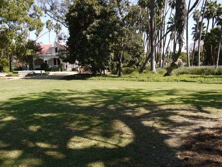 Enlarge photo 11