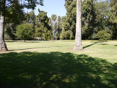 Enlarge photo 17