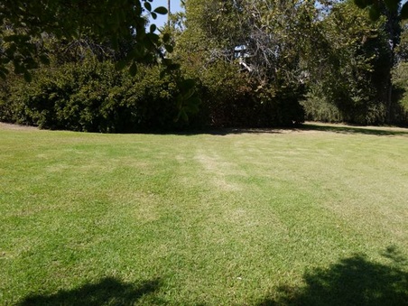 Enlarge photo 25