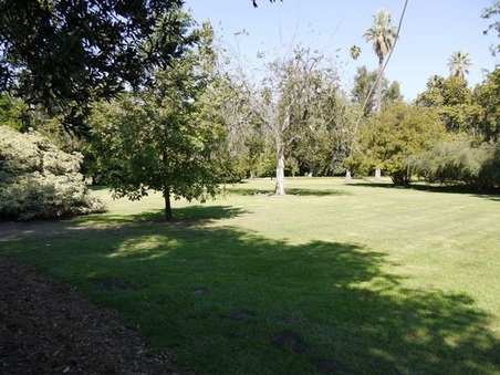 Enlarge photo 27