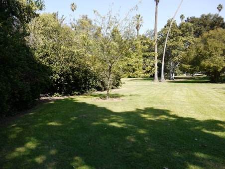 Enlarge photo 31