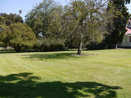 Enlarge photo 30