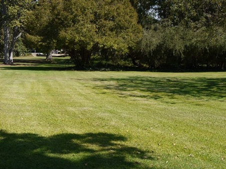 Enlarge photo 34