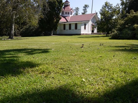 Enlarge photo 35