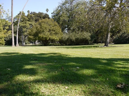 Enlarge photo 37