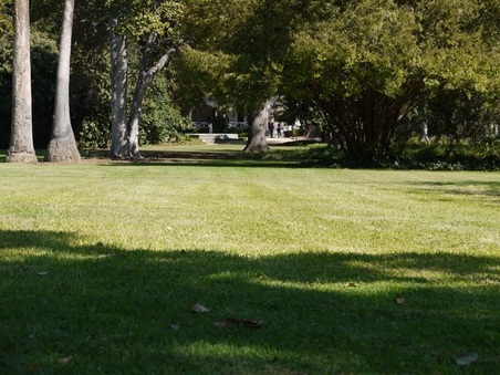 Enlarge photo 36