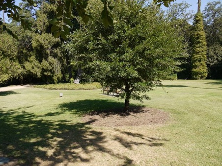 Enlarge photo 39