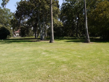 Enlarge photo 38