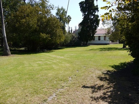 Enlarge photo 40