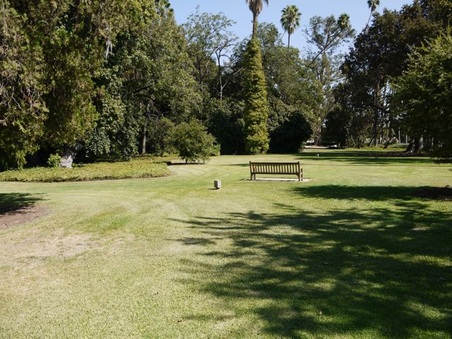 Enlarge photo 43