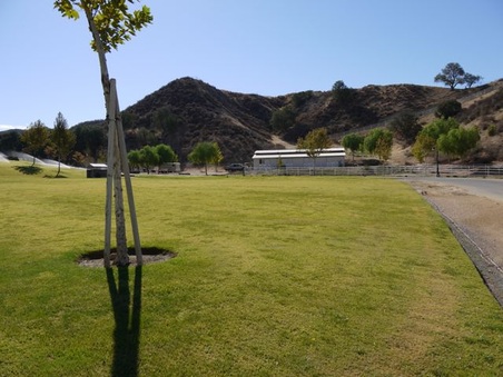 Enlarge photo 6
