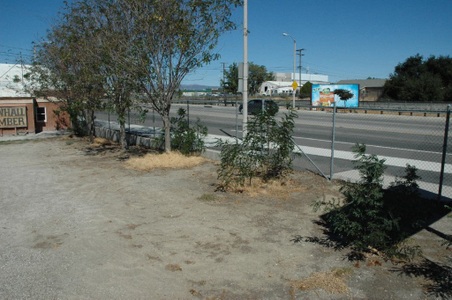 Enlarge photo 25