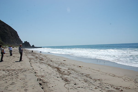 Sycamore Cove