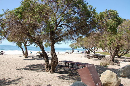 Enlarge photo 37