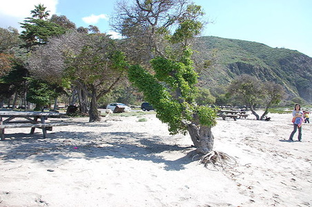 Enlarge photo 40