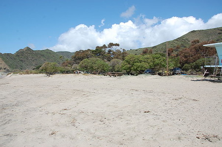 Enlarge photo 41