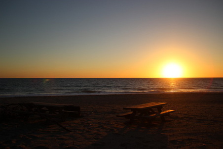 Enlarge photo 43