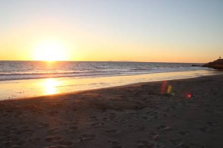 Enlarge photo 51