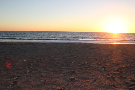 Enlarge photo 55