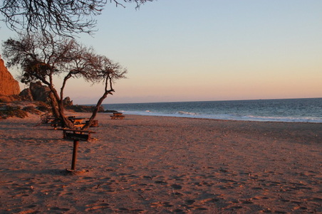 Enlarge photo 57