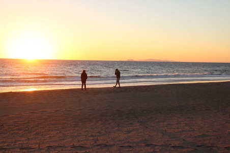 Enlarge photo 59