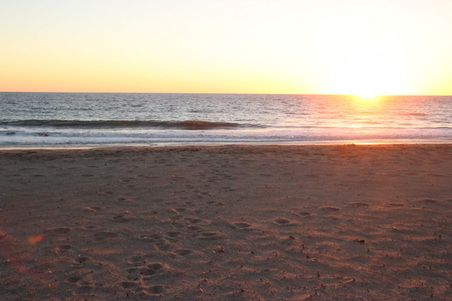 Enlarge photo 62