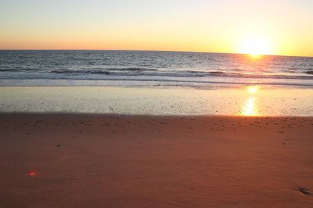 Enlarge photo 66