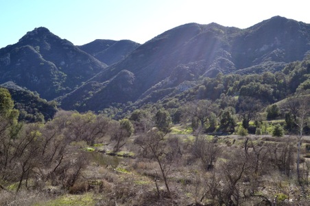 Enlarge photo 3
