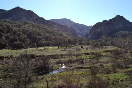 Enlarge photo 5