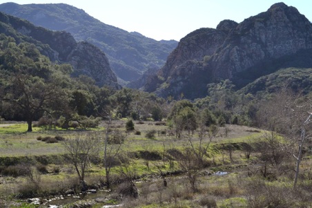 Enlarge photo 6