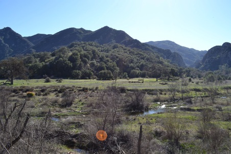 Enlarge photo 8
