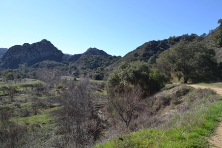 Enlarge photo 9