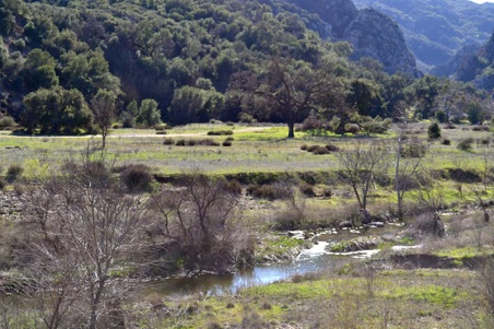 Enlarge photo 10