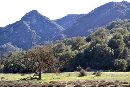 Enlarge photo 11
